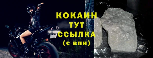 крисы Коряжма