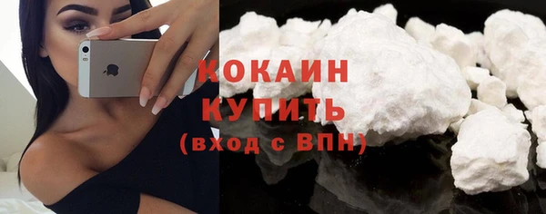 сатива Козловка