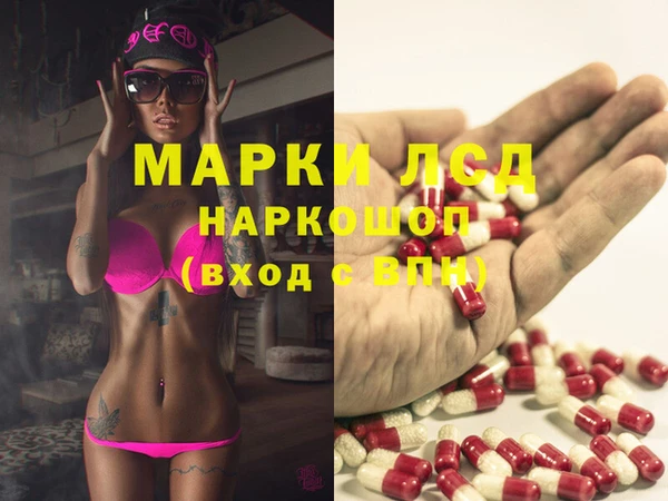 мяу мяу мука Кодинск