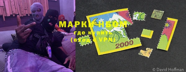 крисы Коряжма