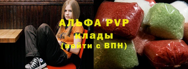 крисы Коряжма
