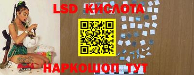 стаф Канаш