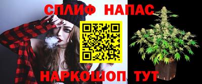 стаф Канаш