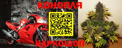 стаф Канаш