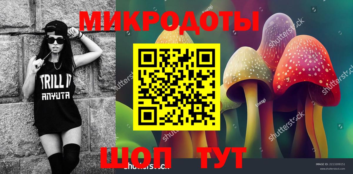 Псилоцибиновые грибы мицелий Курчатов