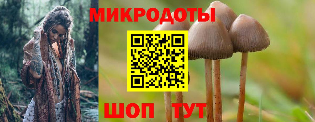 Галлюциногенные грибы GOLDEN TEACHER  Вход с VPN  Курчатов 
